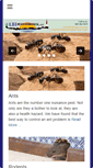 Mobile Screenshot of lbipestcontrol.com